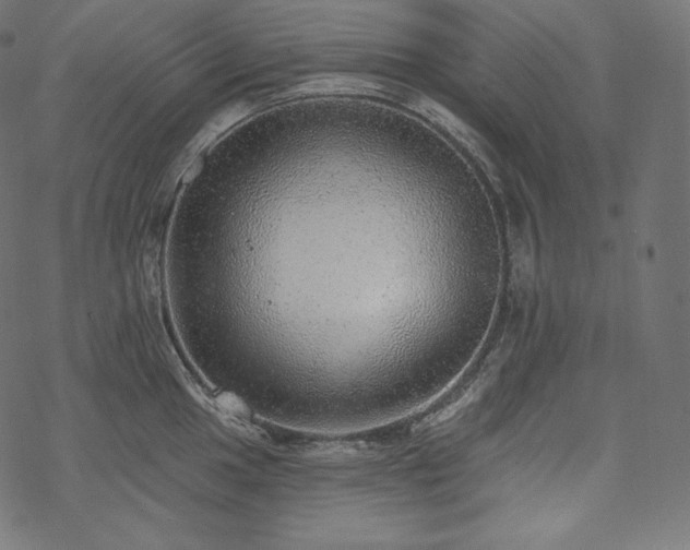 X0000070201049200605301333