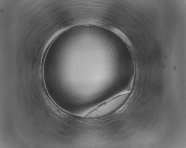 X0000070201052200605301333