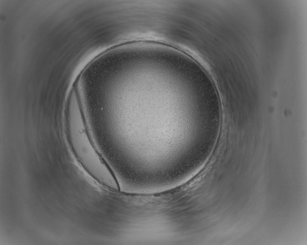 X0000070201056200605301333