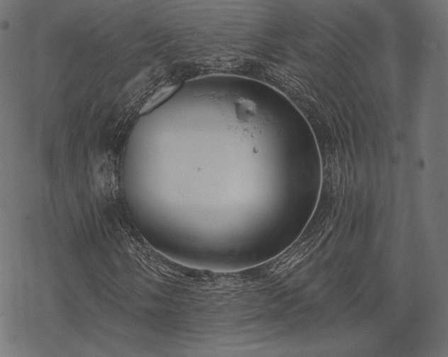 X0000070201058200605301332
