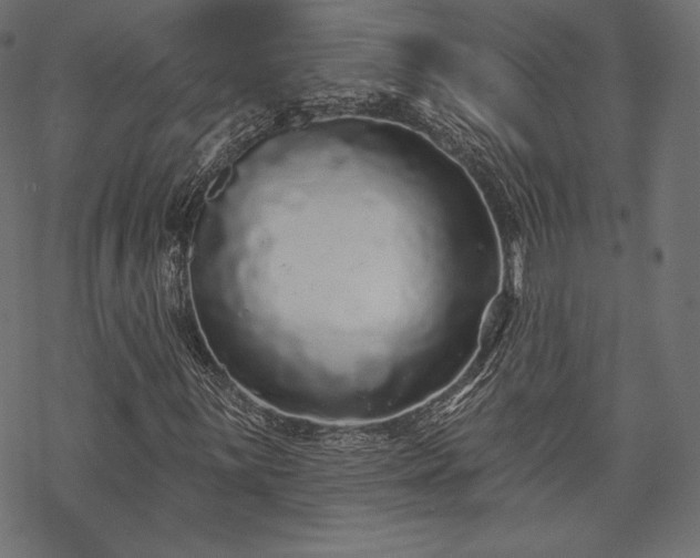 X0000070201059200605301332