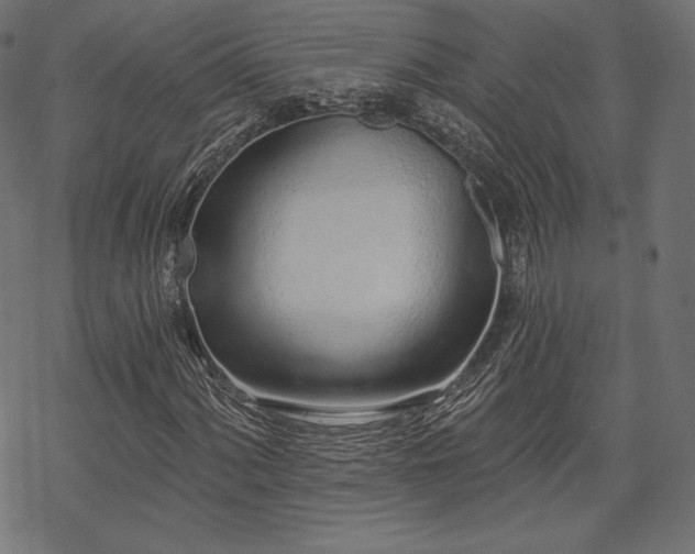 X0000070201060200605301332