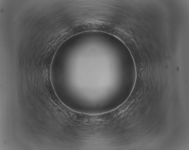X0000070201061200605301332