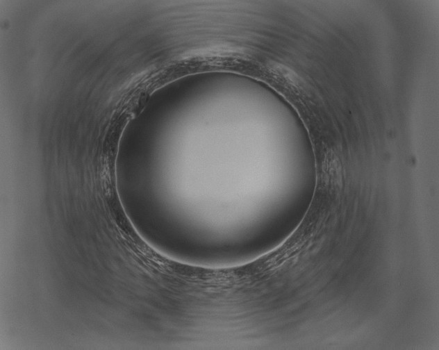 X0000070201062200605301332