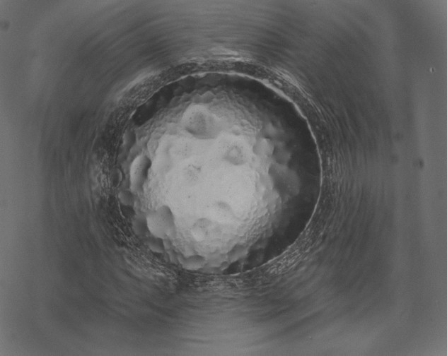 X0000070201063200605301332