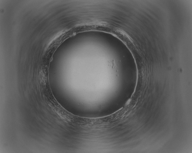 X0000070201064200605301332