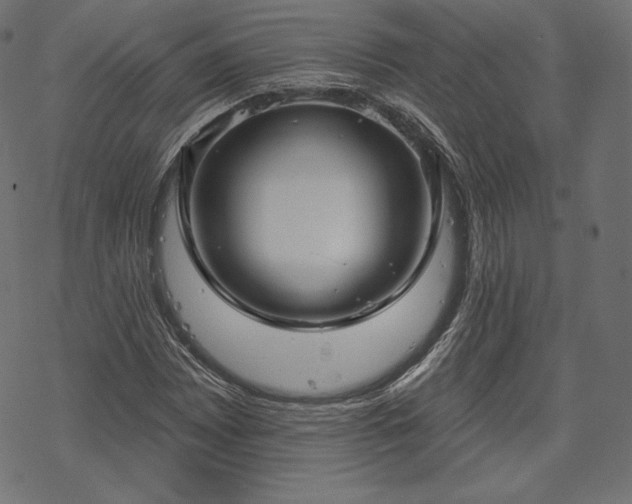 X0000070201065200605301332