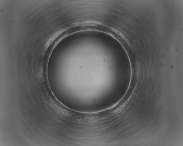 X0000070201066200605301332