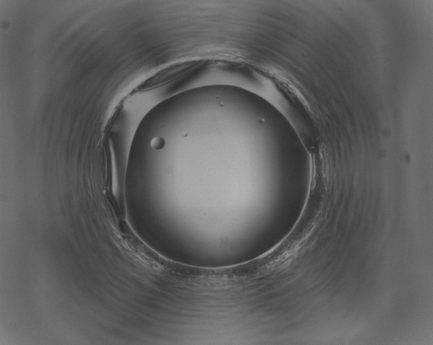 X0000070201069200605301332
