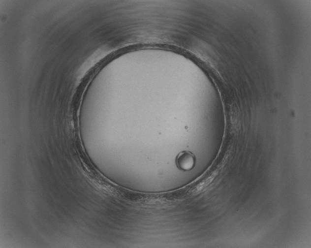 X0000070201070200605301332
