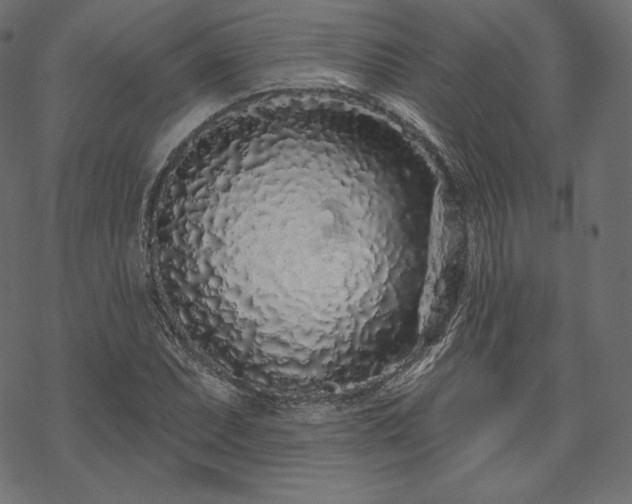 X0000070201071200605301332