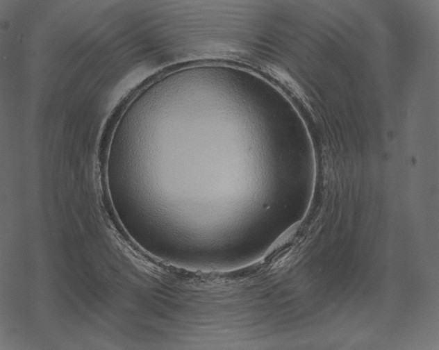 X0000070201072200605301332
