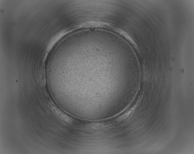 X0000070201075200605301332