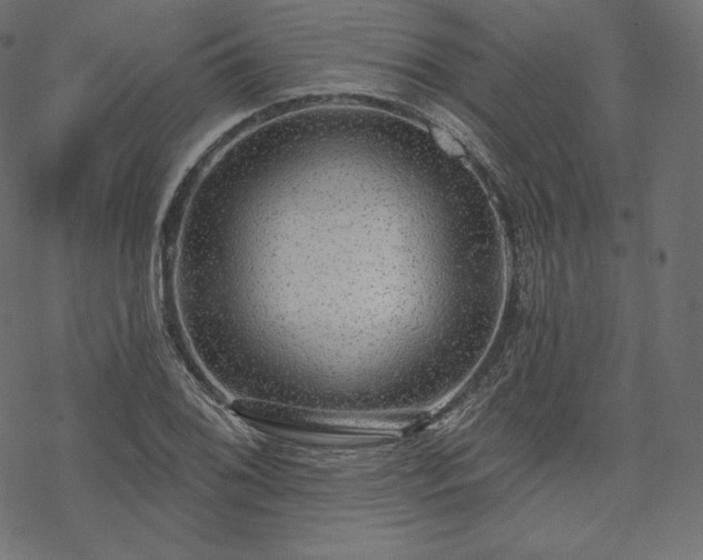 X0000070201076200605301331
