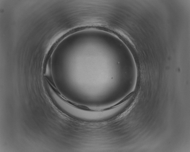 X0000070201077200605301331