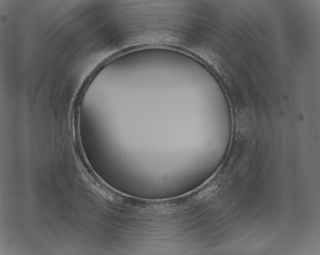 X0000070201078200605301331