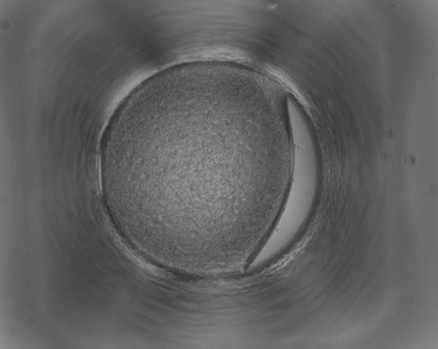 X0000070201079200605301331
