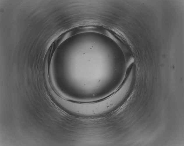 X0000070201081200605301331