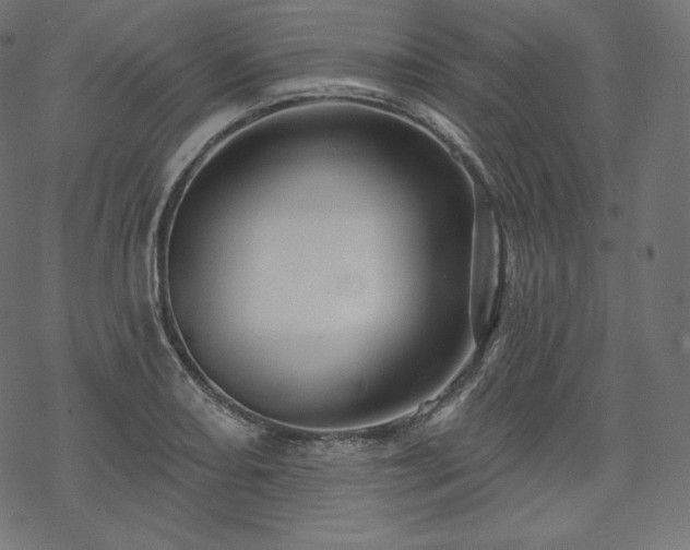 X0000070201082200605301331