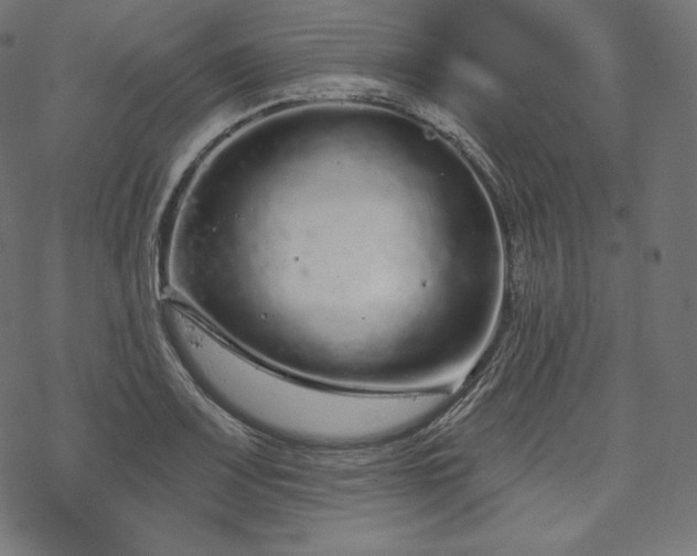 X0000070201083200605301331