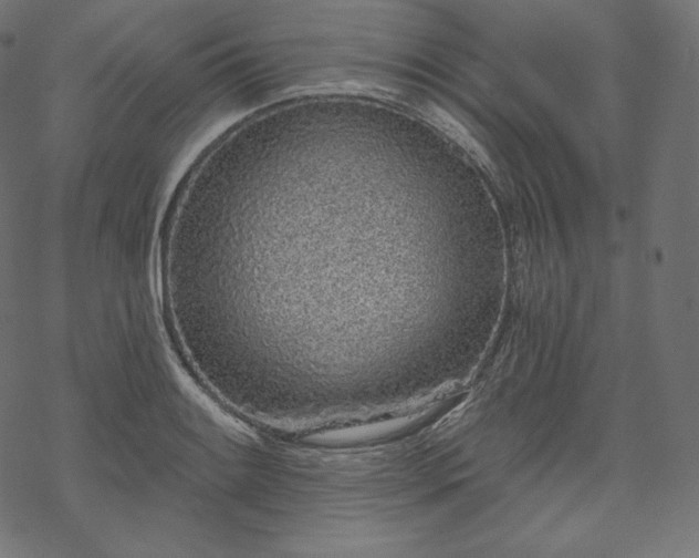 X0000070201084200605301331