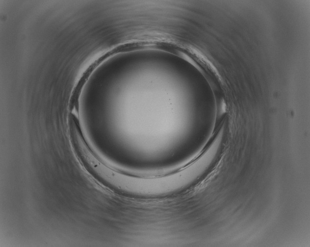 X0000070201085200605301331