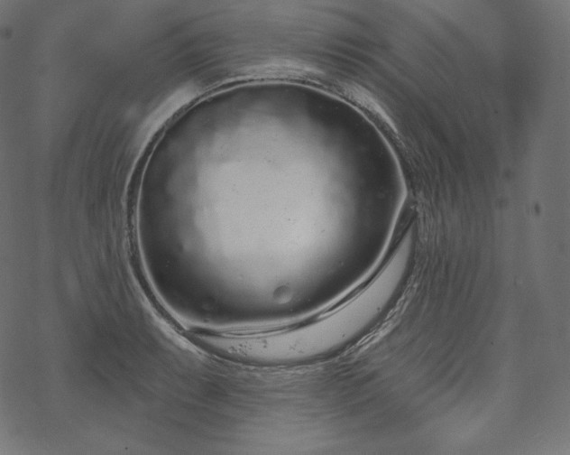 X0000070201087200605301331