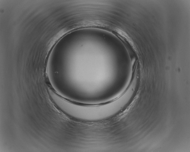 X0000070201089200605301331