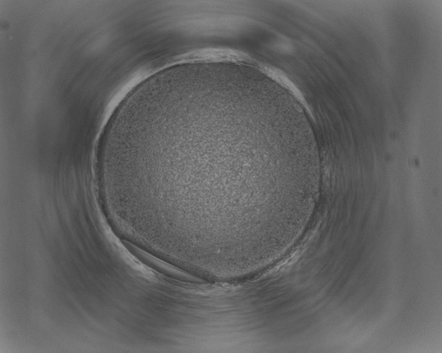 X0000070201091200605301331