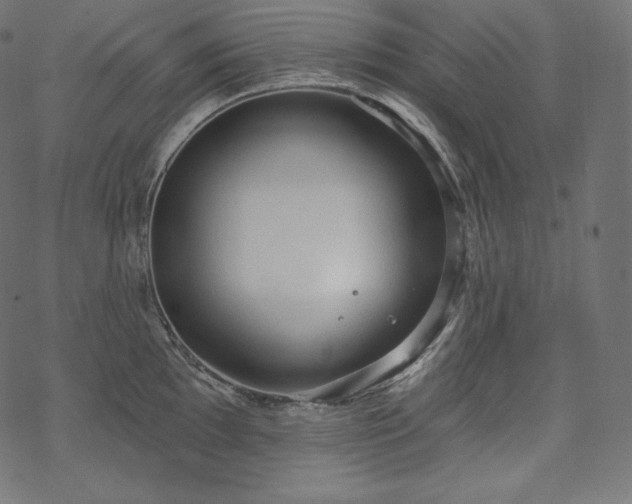 X0000070201097200605301331