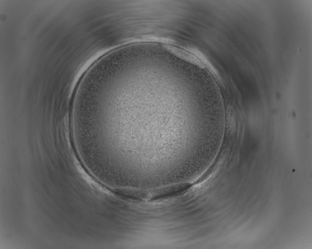 X0000070201100200605301331