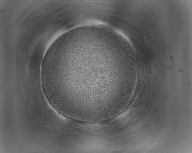 X0000070201103200605301331