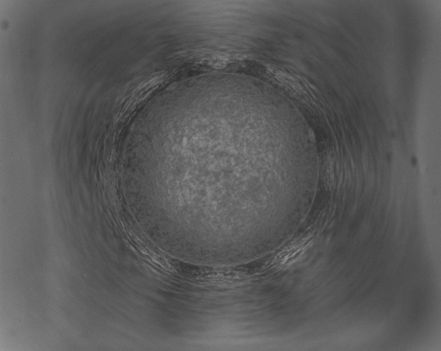 X0000070201105200605301330