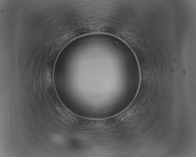 X0000070201106200605301330