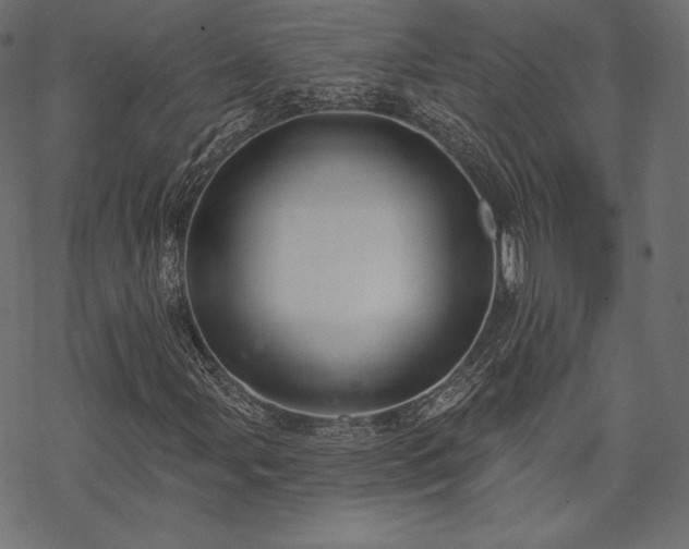 X0000070201107200605301330