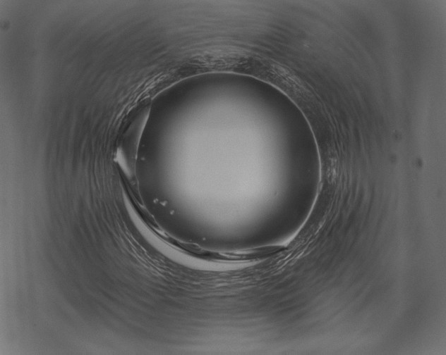 X0000070201108200605301330