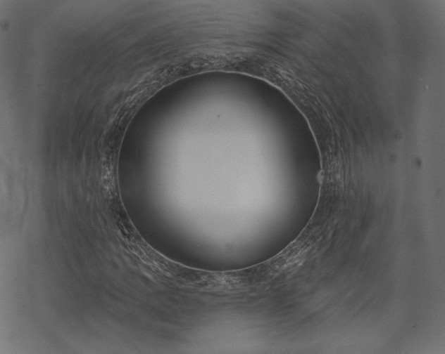 X0000070201109200605301330