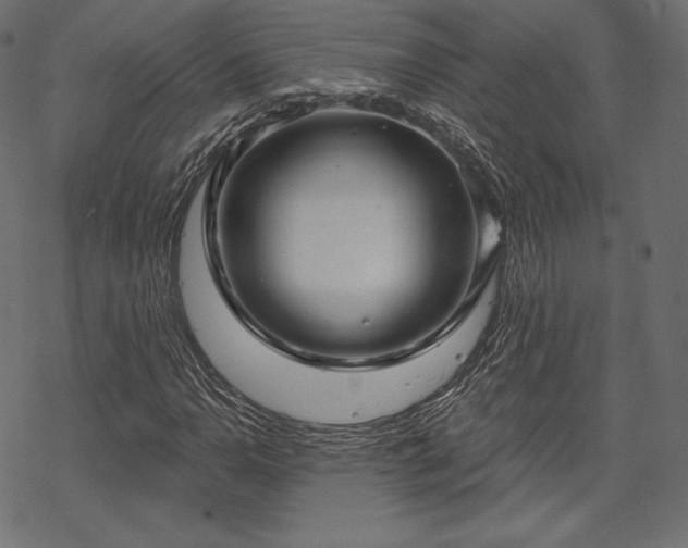 X0000070201110200605301330