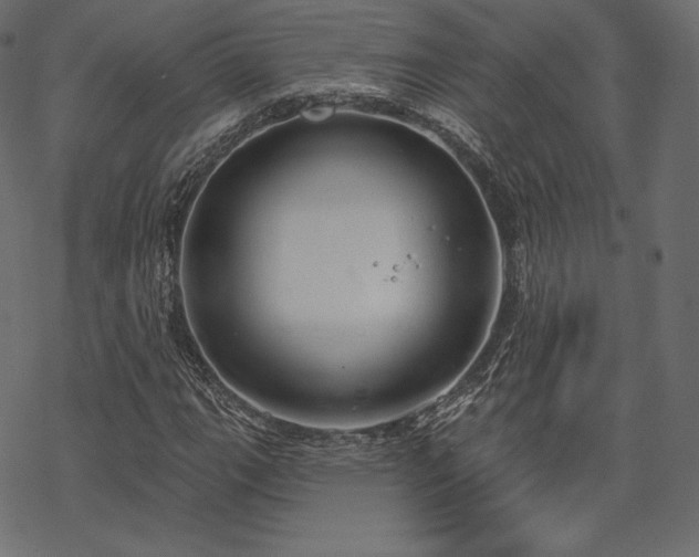 X0000070201111200605301330