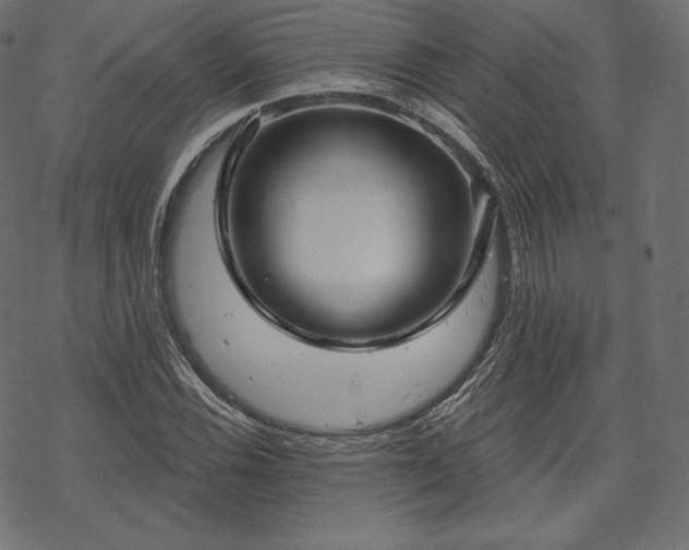 X0000070201116200605301330