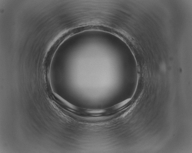 X0000070201118200605301330