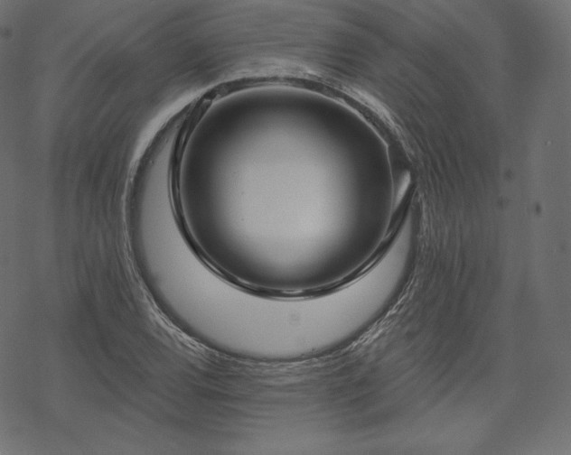 X0000070201120200605301331