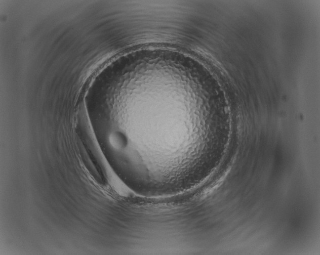 X0000070201121200605301331