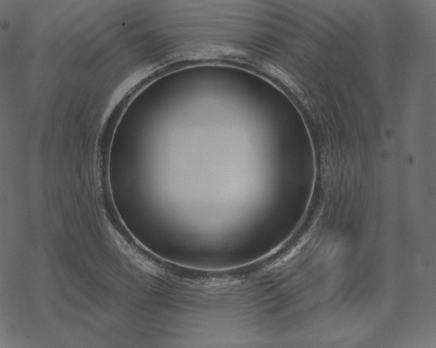 X0000070201122200605301331