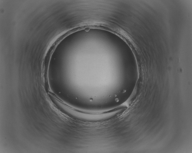 X0000070201124200605301331