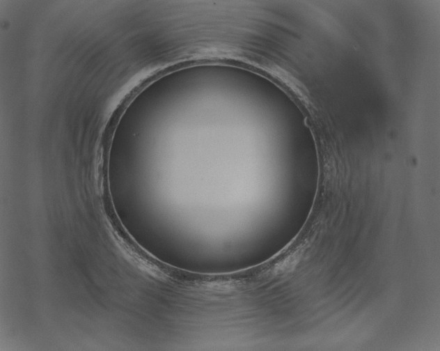 X0000070201126200605301331