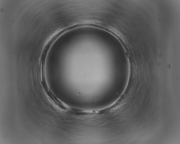 X0000070201127200605301331
