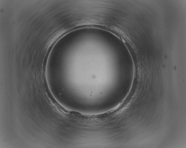 X0000070201129200605301331