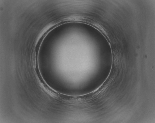 X0000070201131200605301331