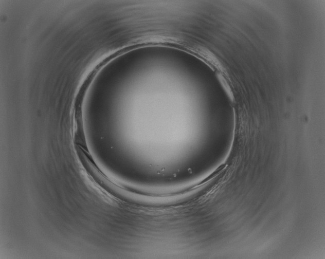 X0000070201132200605301331